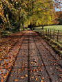 October 2024 - Northumberland and Newcastle upon Tyne